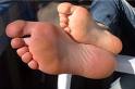 Pies