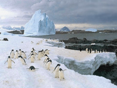Estado actual de los hielos de la Antartida